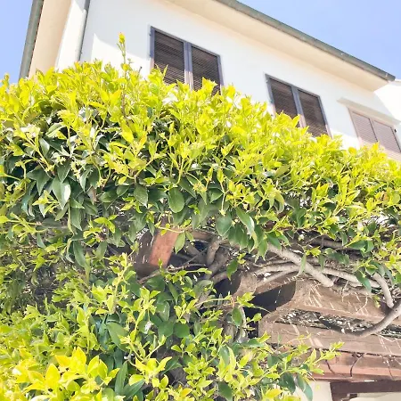 Casa Il Gelsomino Di Barbara * Donoratico